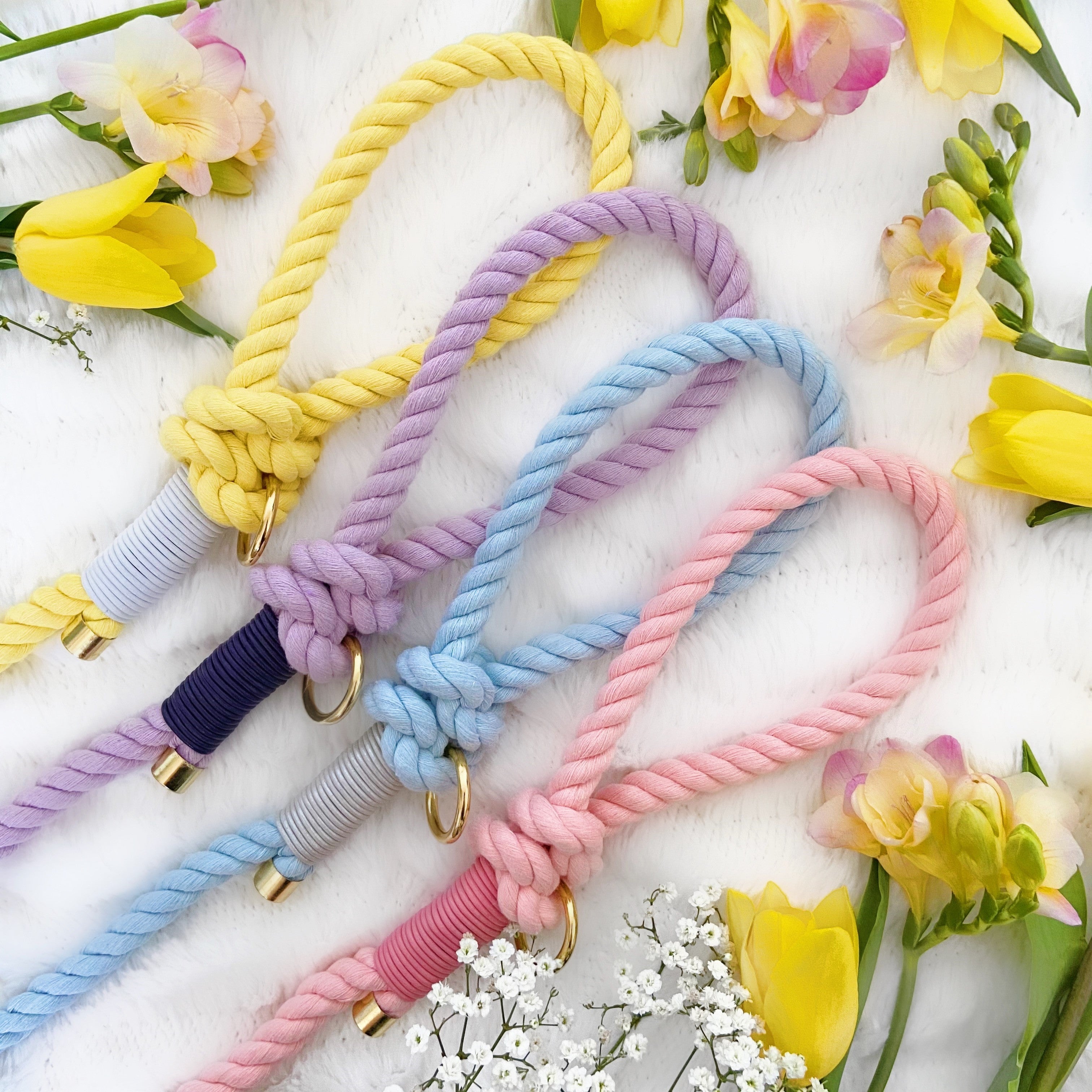 Handmade rope deals dog leads