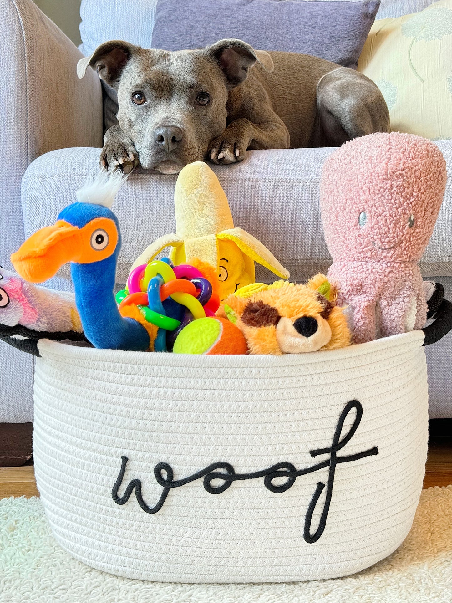 Dog Toy Basket | Ivory