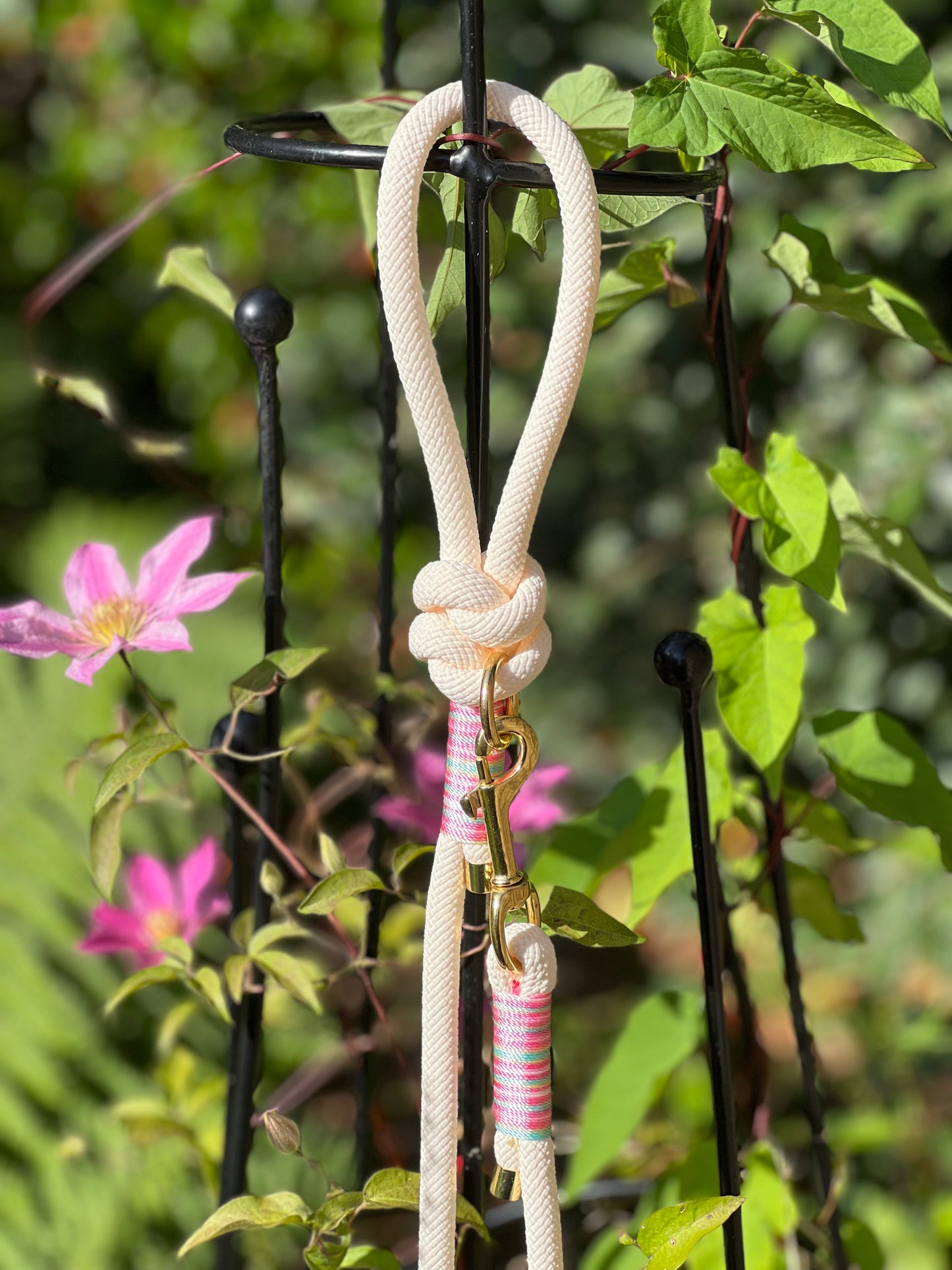 Rope Lead | Pastel Dreams