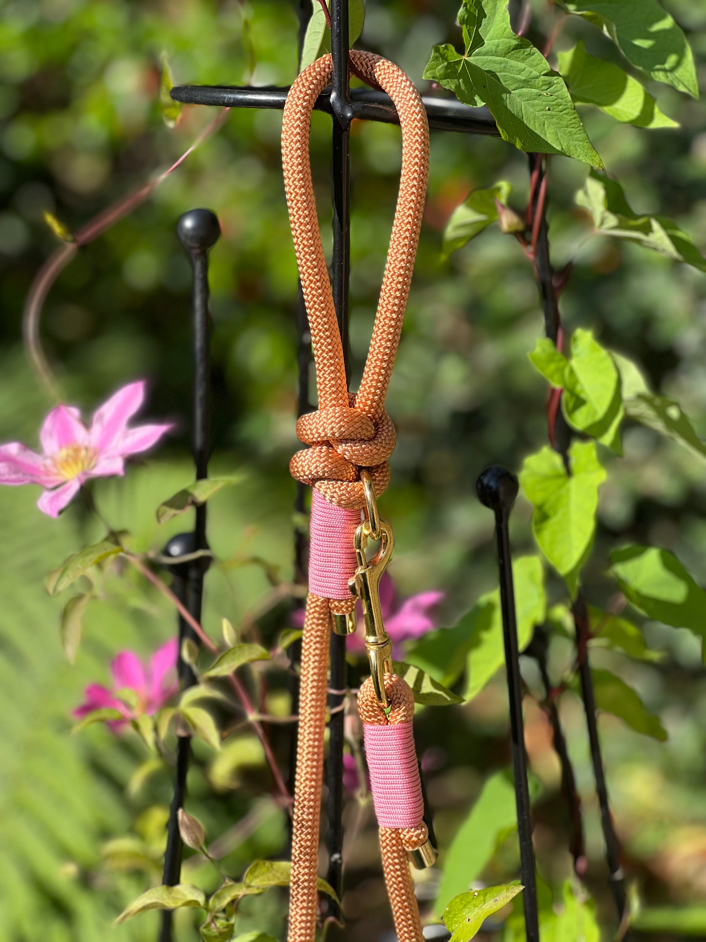 Rope Lead | Sunset