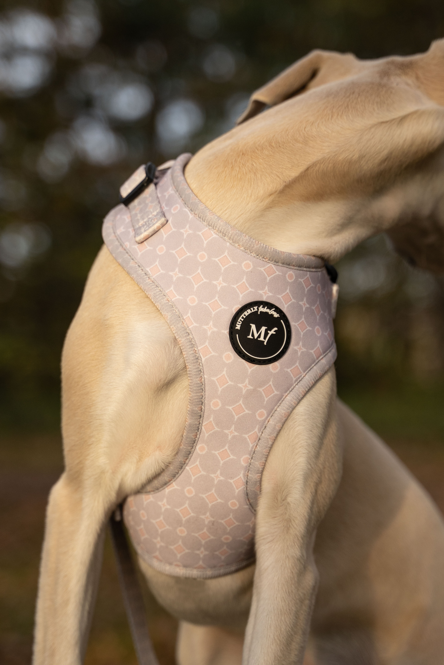 Adjustable Harness | Diamonds are Forever