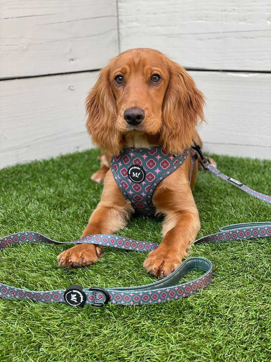 Fabric Lead | Country Classic