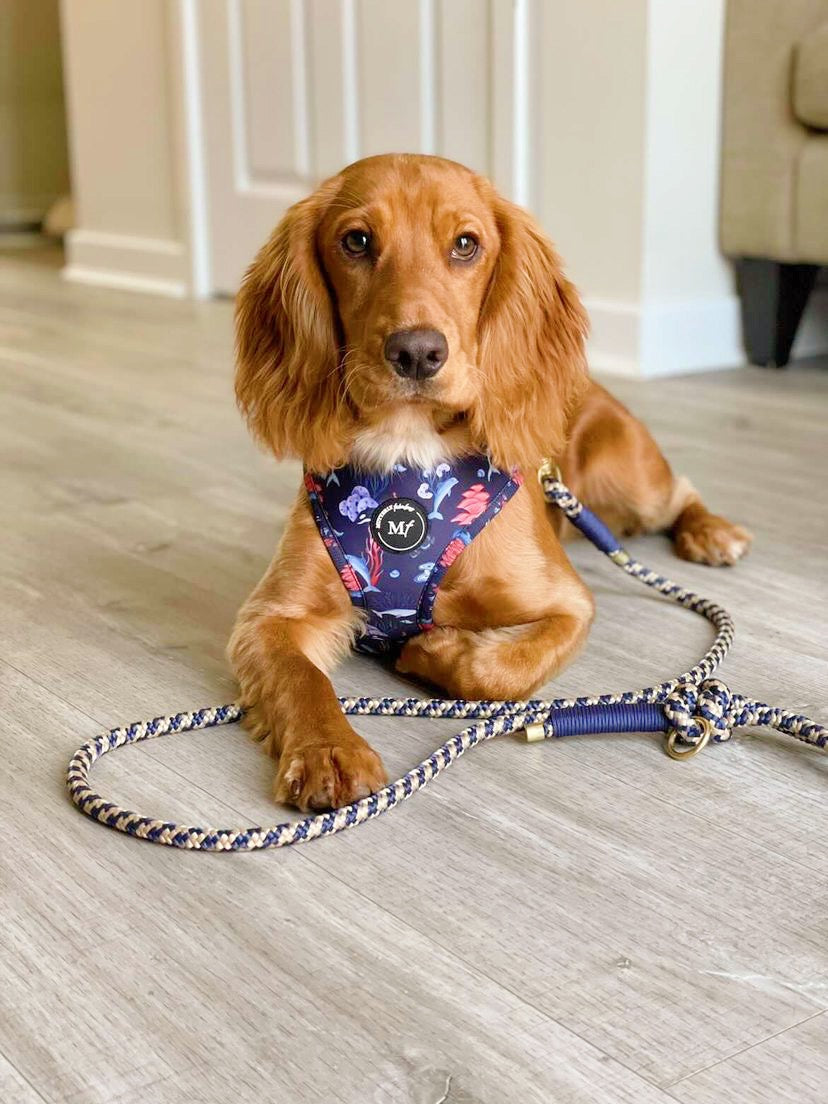 Rope Lead | The Good Blues