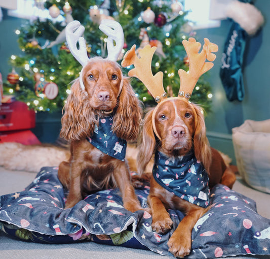 Bandana | Driving home for Christmas