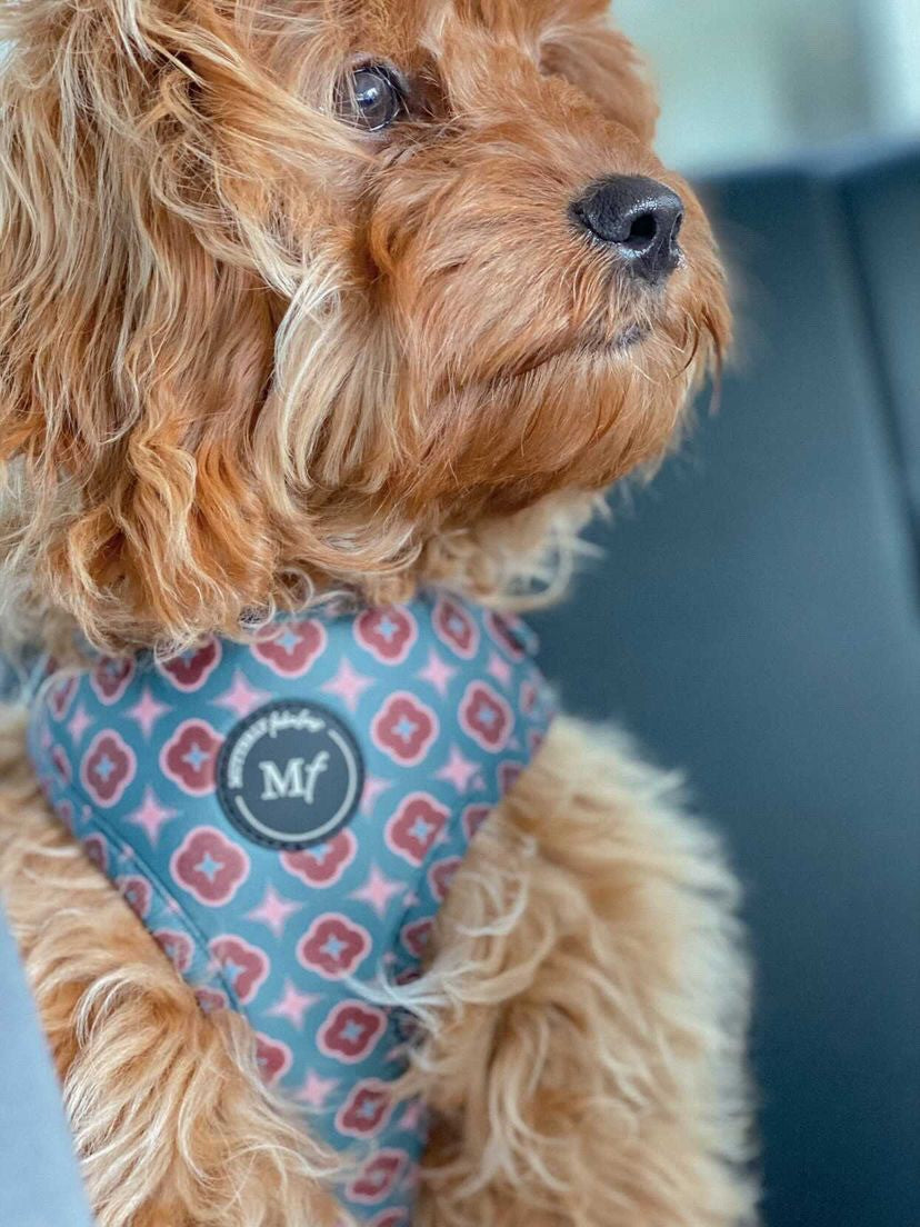 Adjustable Harness | Country Classic
