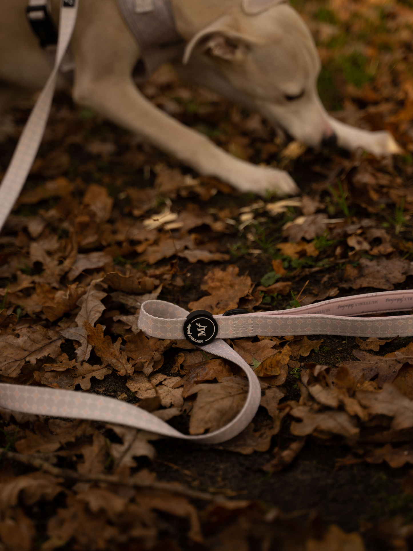 Fabric Lead | Diamonds are Forever