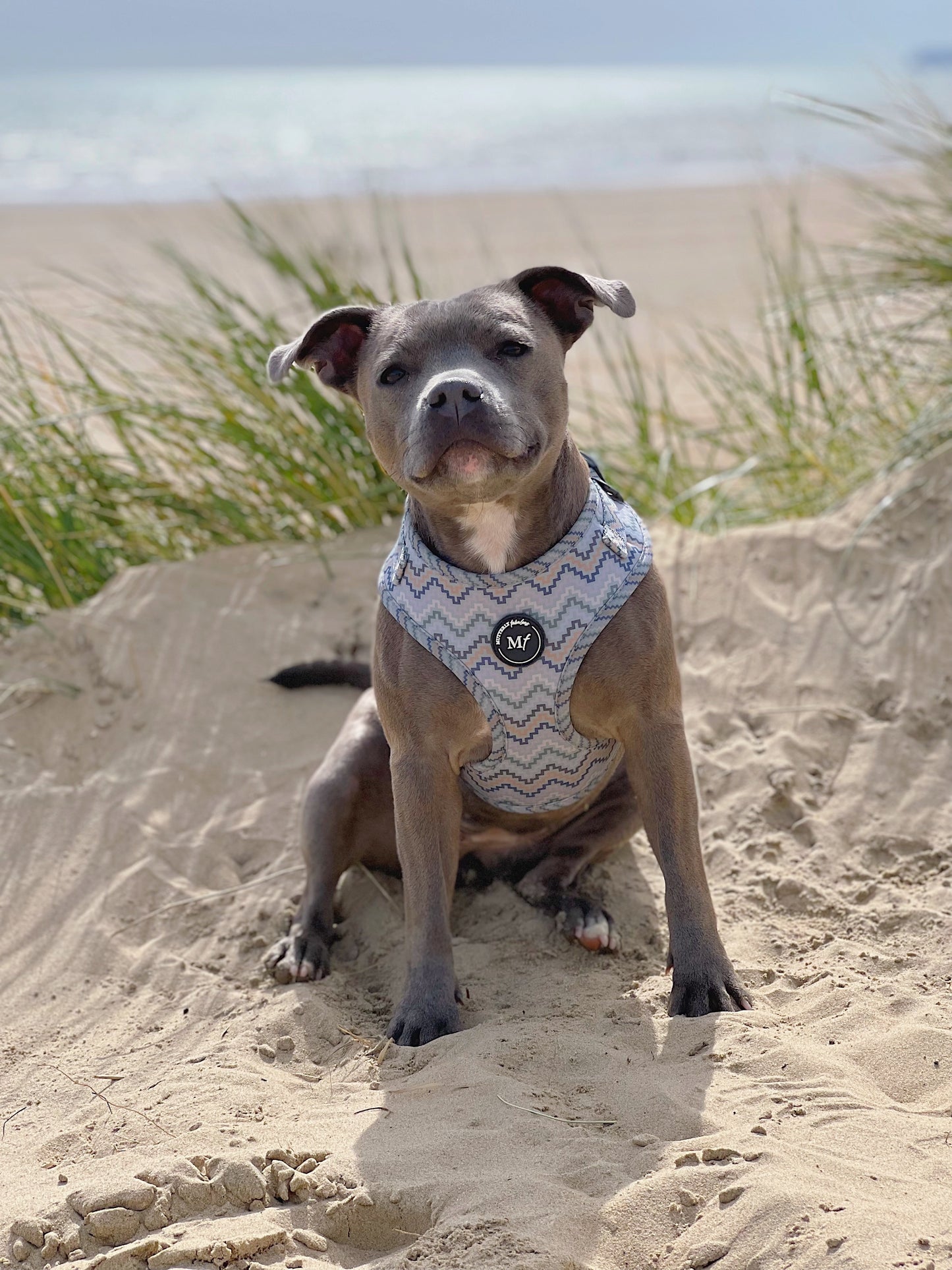 Adjustable & Personalisable Harness | Peak Perfect