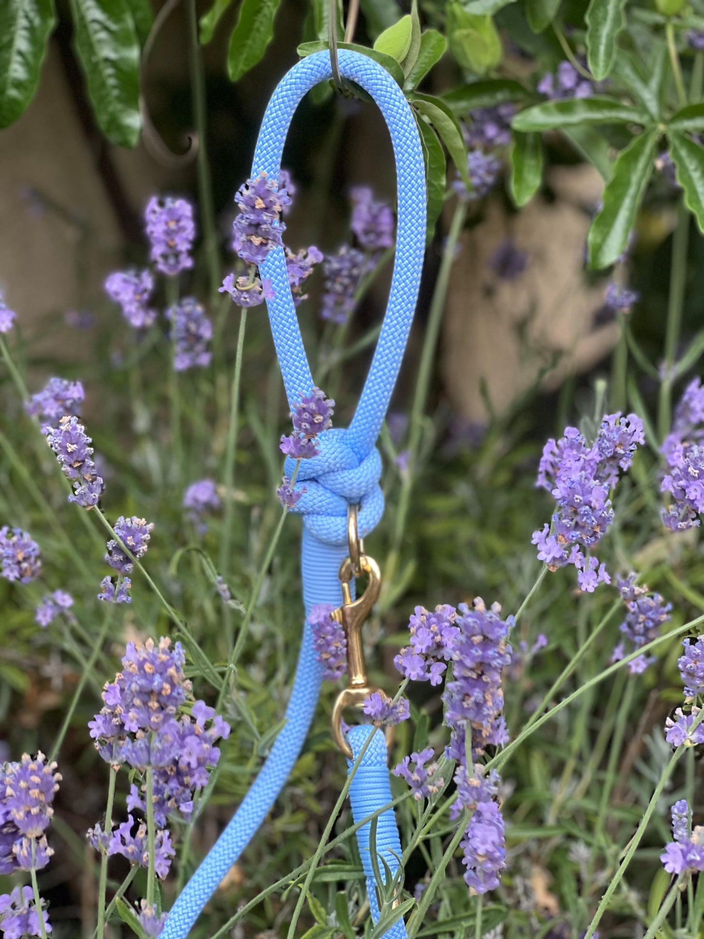 Rope Lead | Sky Blue