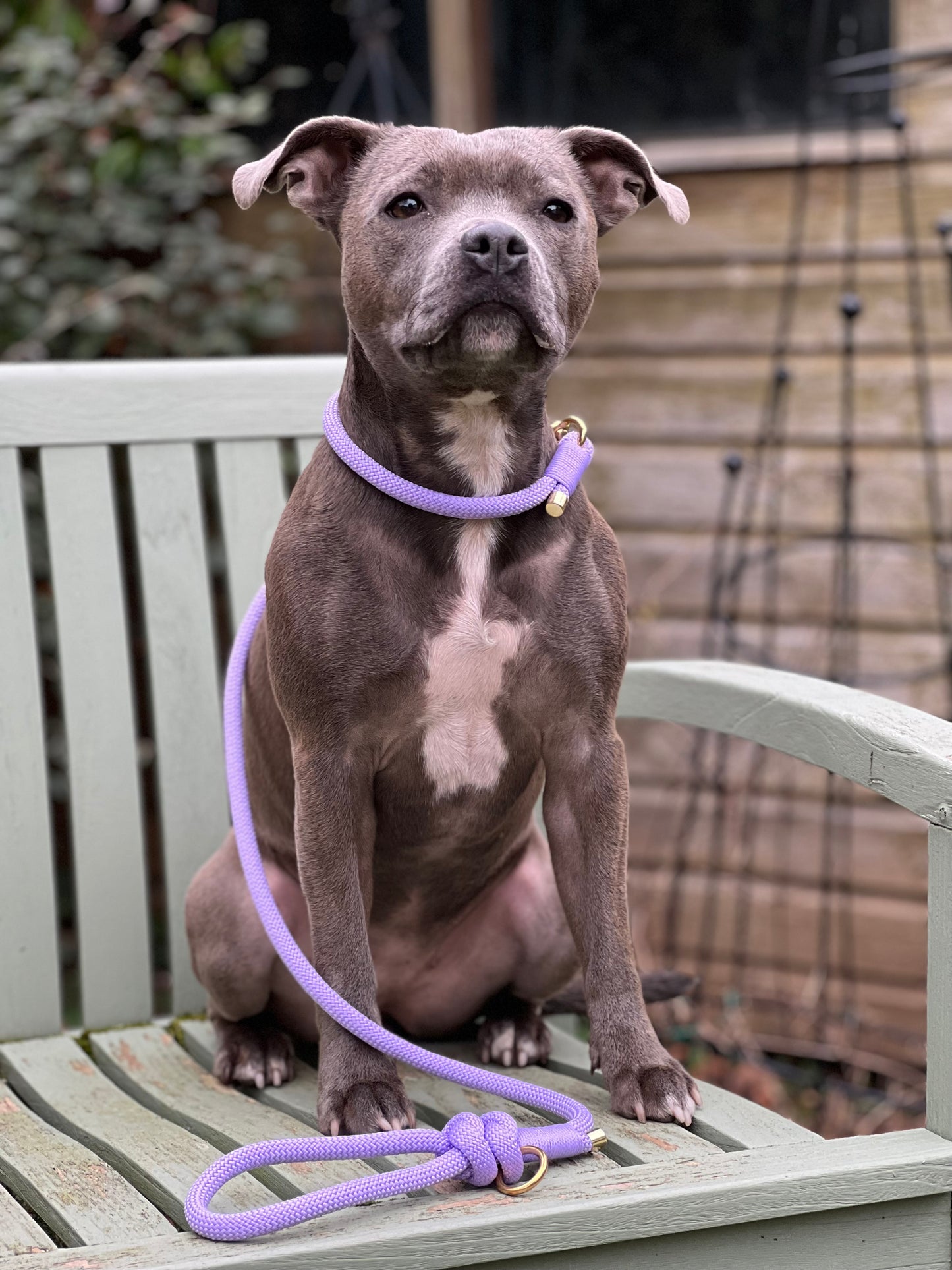 Rope Lead | Lilia