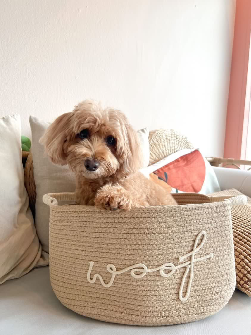 Dog Toy Basket | Natural