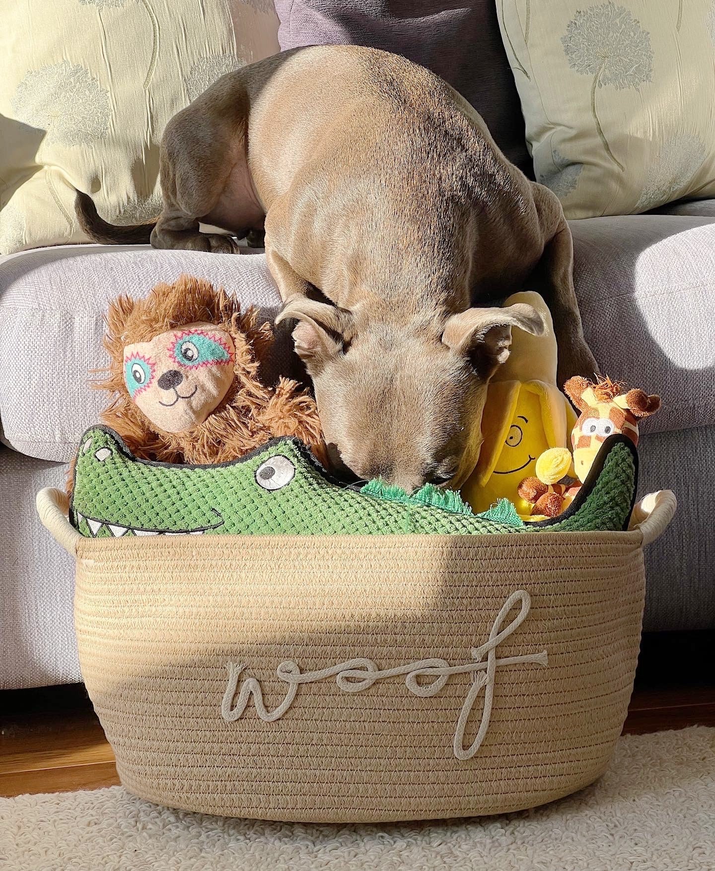 Dog Toy Basket | Natural