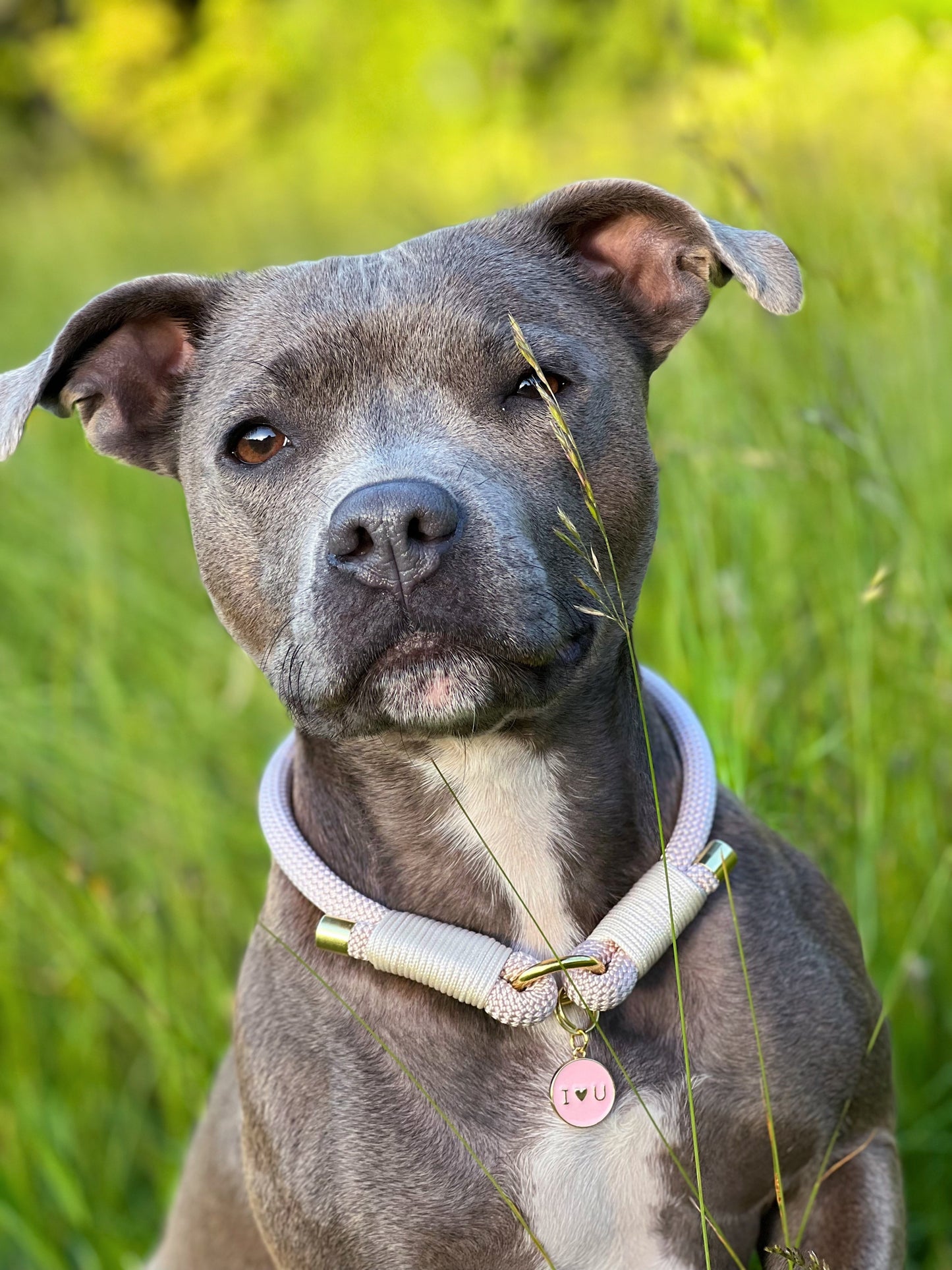 Rope Collar | ID Collar