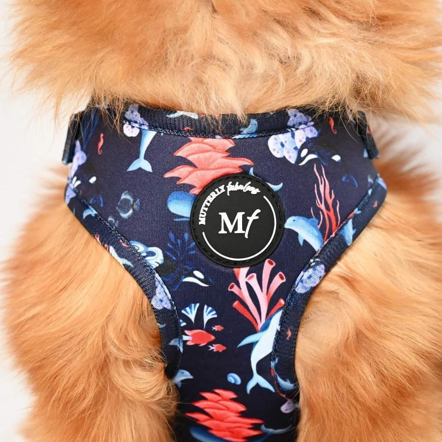 Adjustable Harness | Ocean Wonders