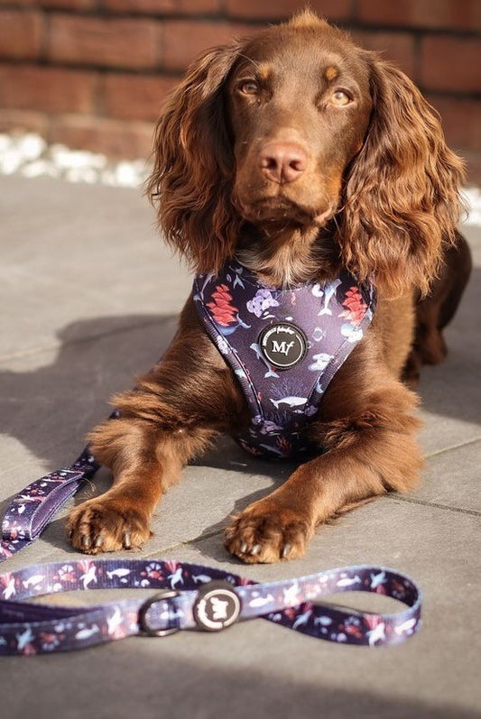 Fabric Lead | Ocean Wonders