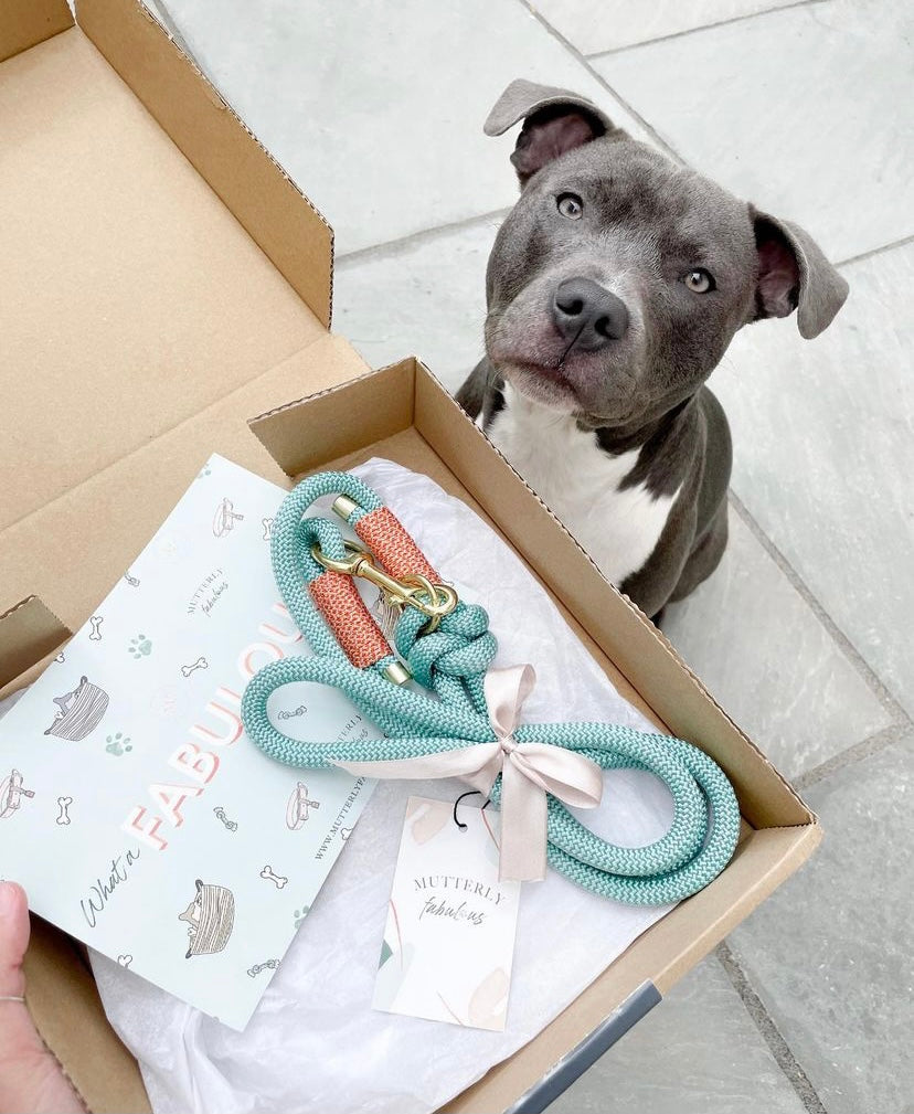 Rope Lead | Mint