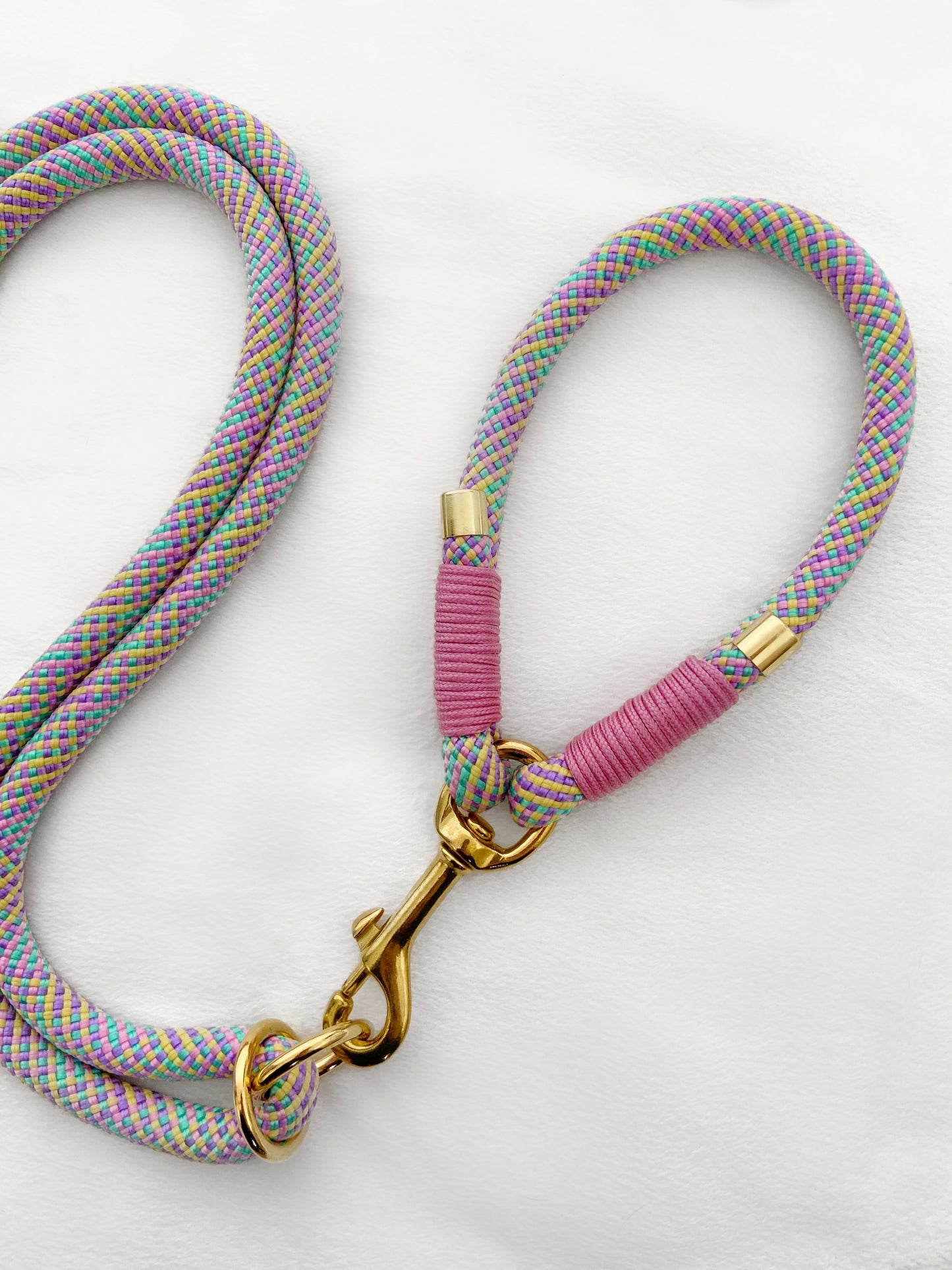Rope Lead | Rainbow