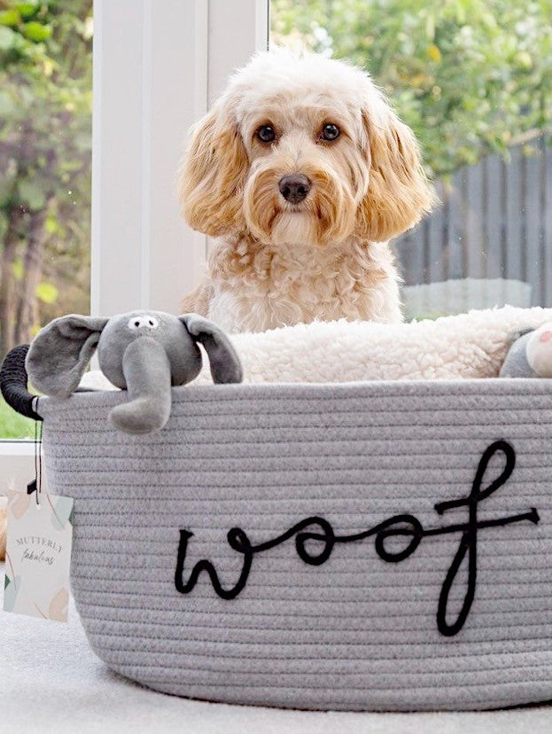 Dog Toy Basket | Grey