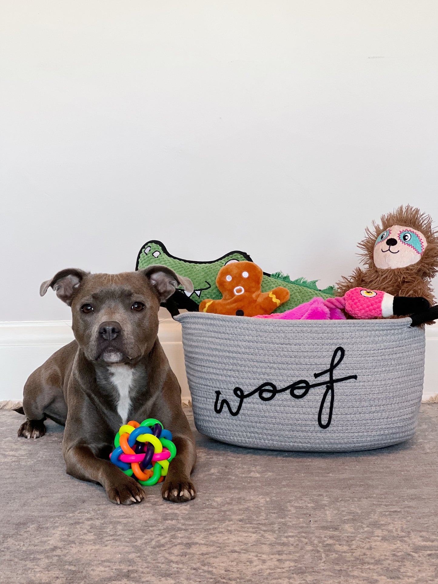 Dog Toy Basket | Grey