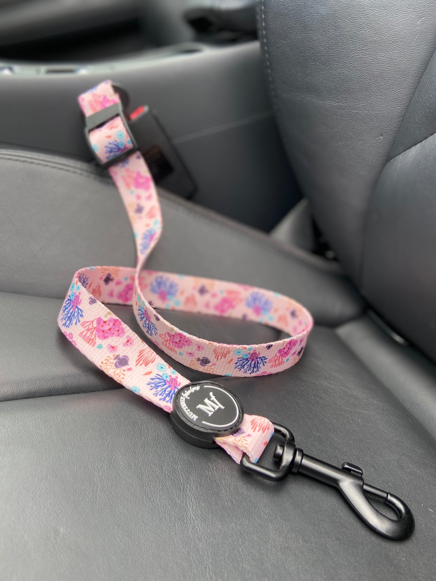 Seatbelt | Coral Dreams