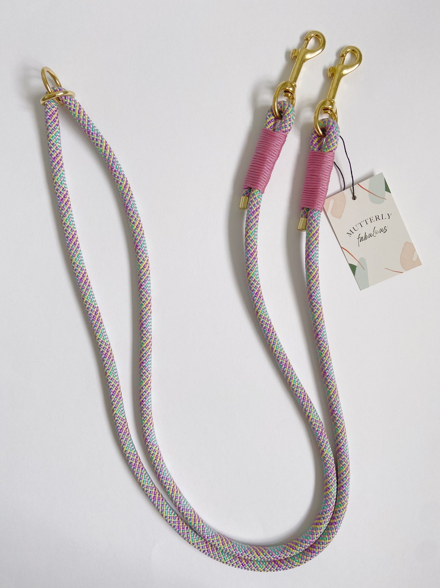 Rope Lead | Rainbow