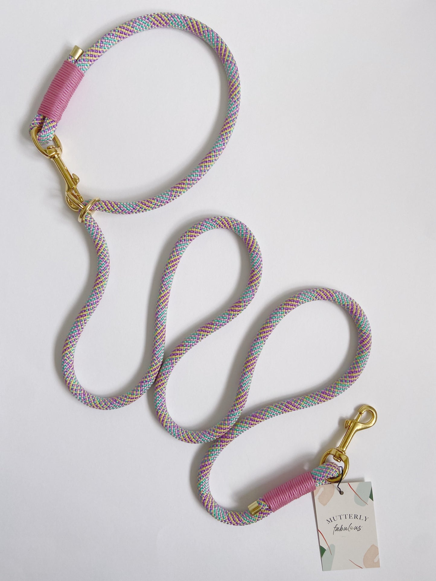 Rope Lead | Rainbow