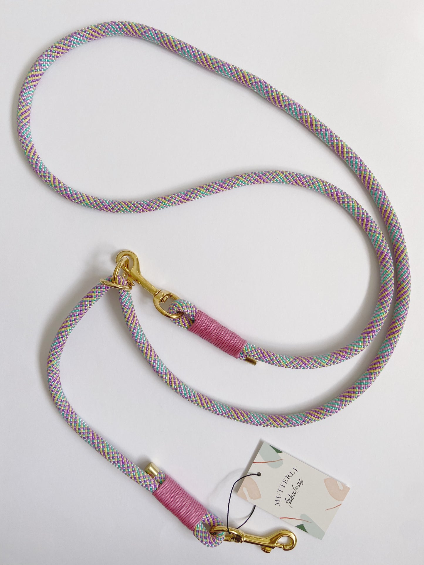 Rope Lead | Rainbow