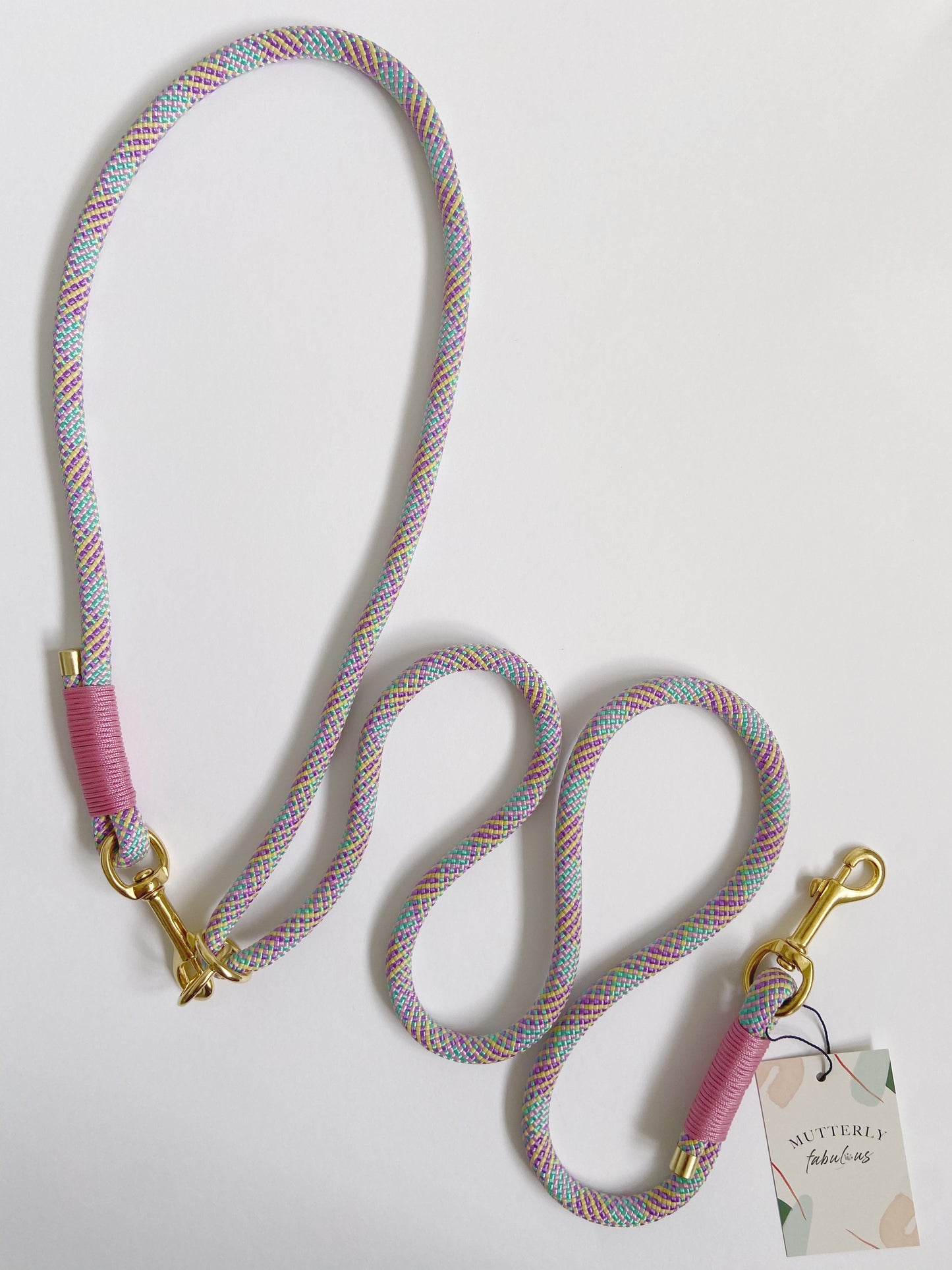 Rope Lead | Rainbow