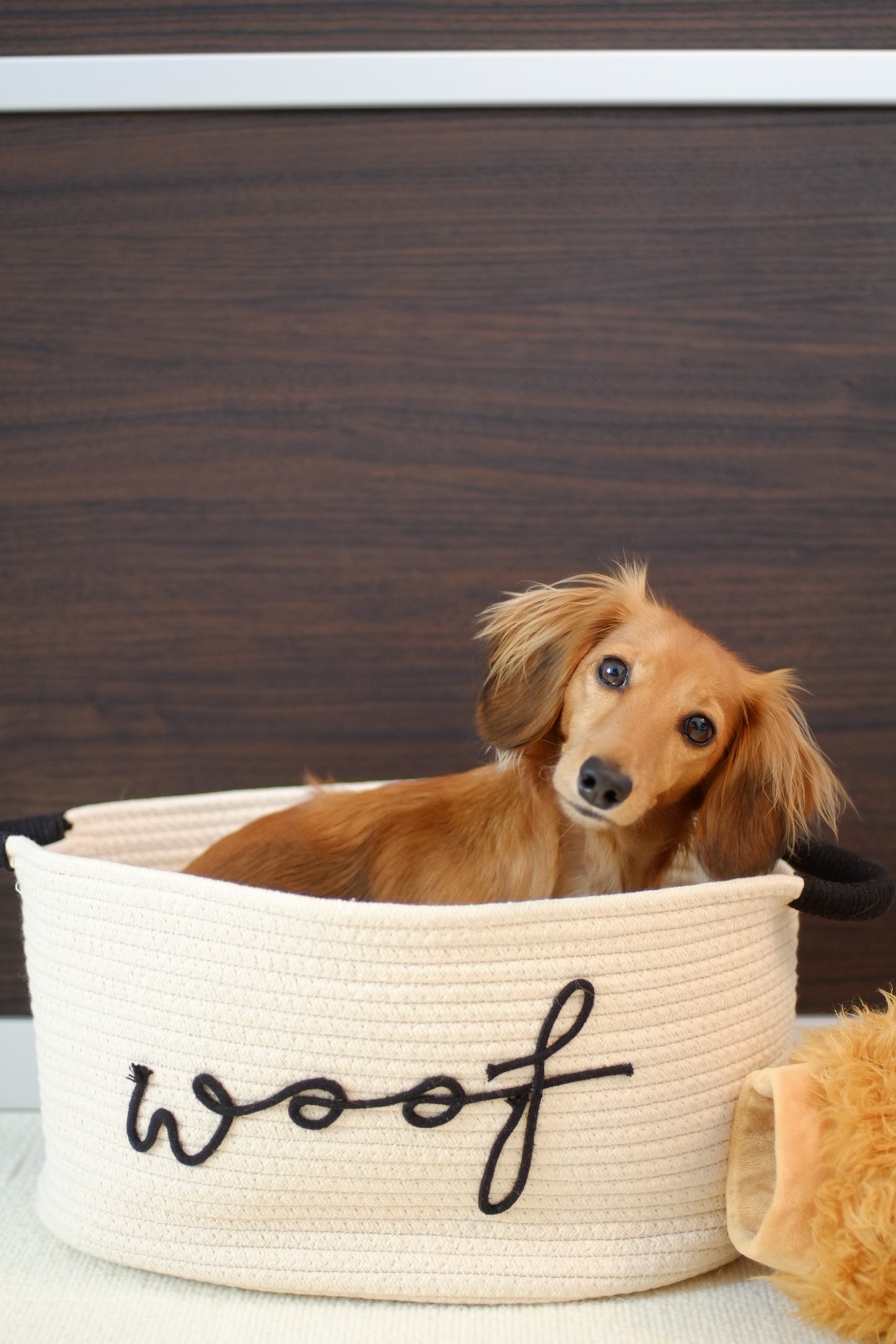 Dog Toy Basket | Cream