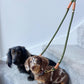 Dual Dog Lead Splitter