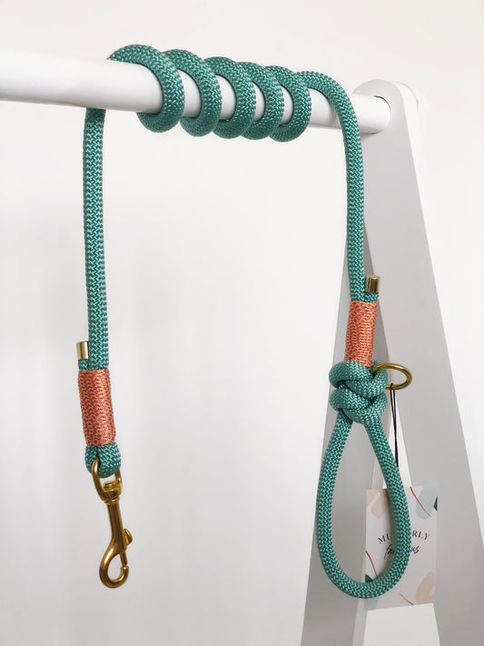 Rope Lead | Mint