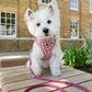 Adjustable & Personalisable Harness | Wonderfully Wild