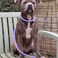 Rope Lead | Lilia