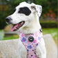 Adjustable Harness | Coral Dreams