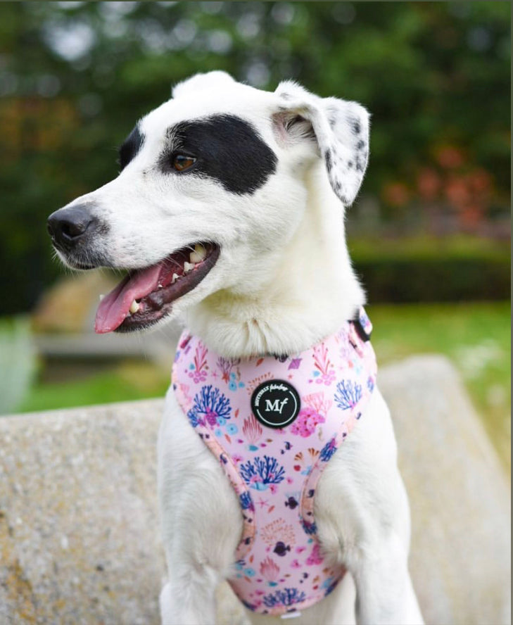 Adjustable Harness | Coral Dreams