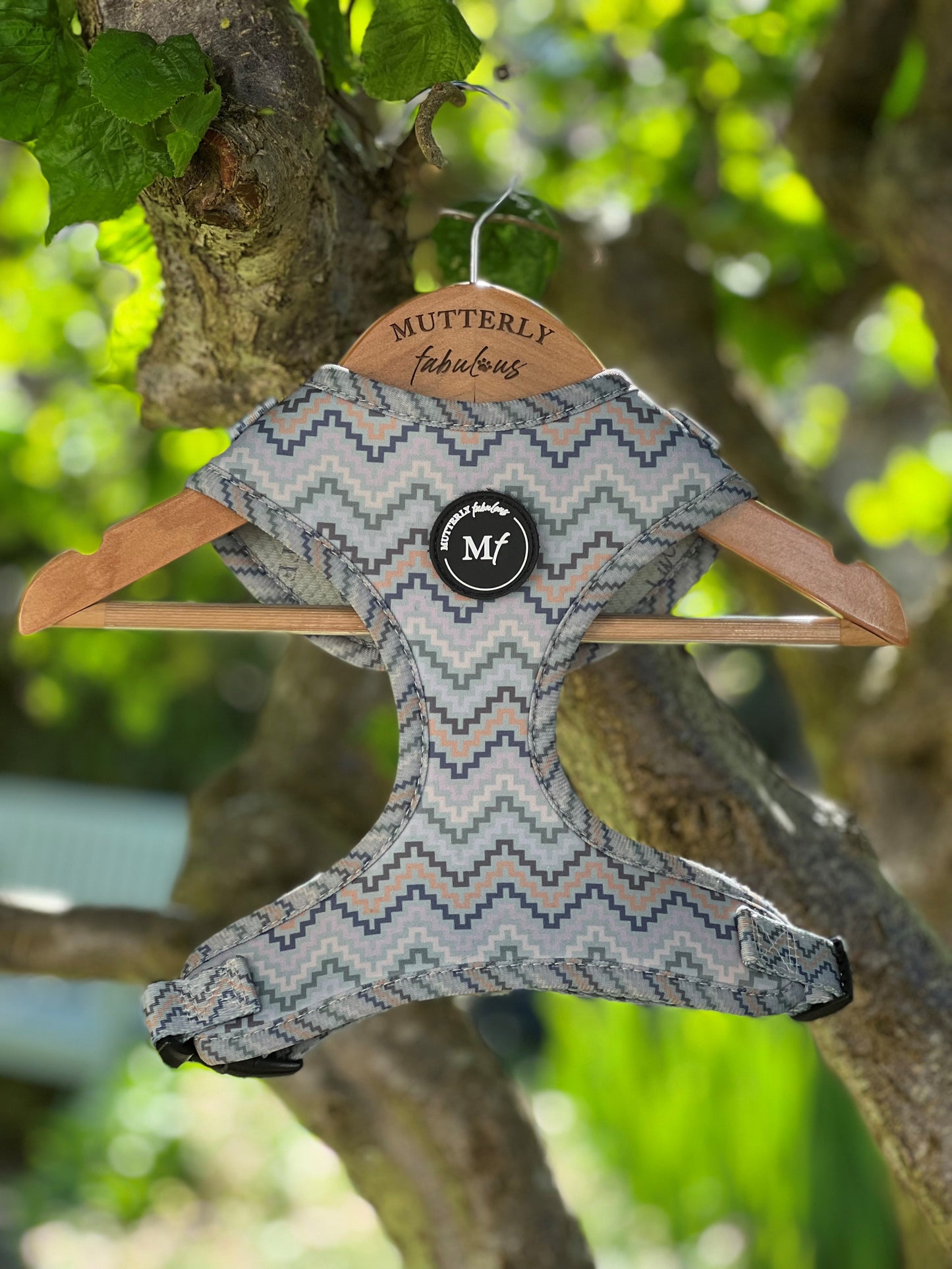 Adjustable & Personalisable Harness | Peak Perfect