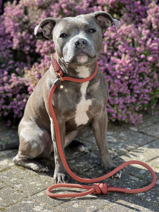 Rope Lead | Burnt Orange