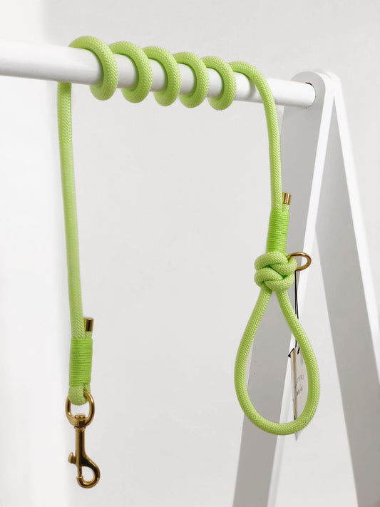 Rope Lead | Glow (reflective dog lead)