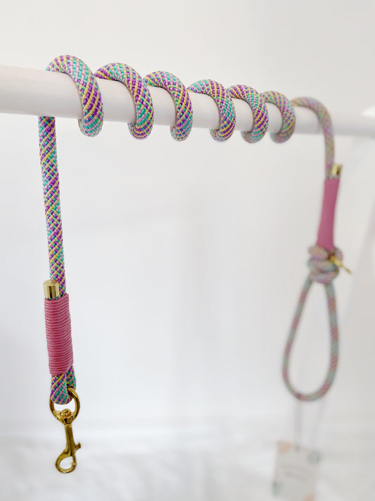 Rope Lead | Rainbow