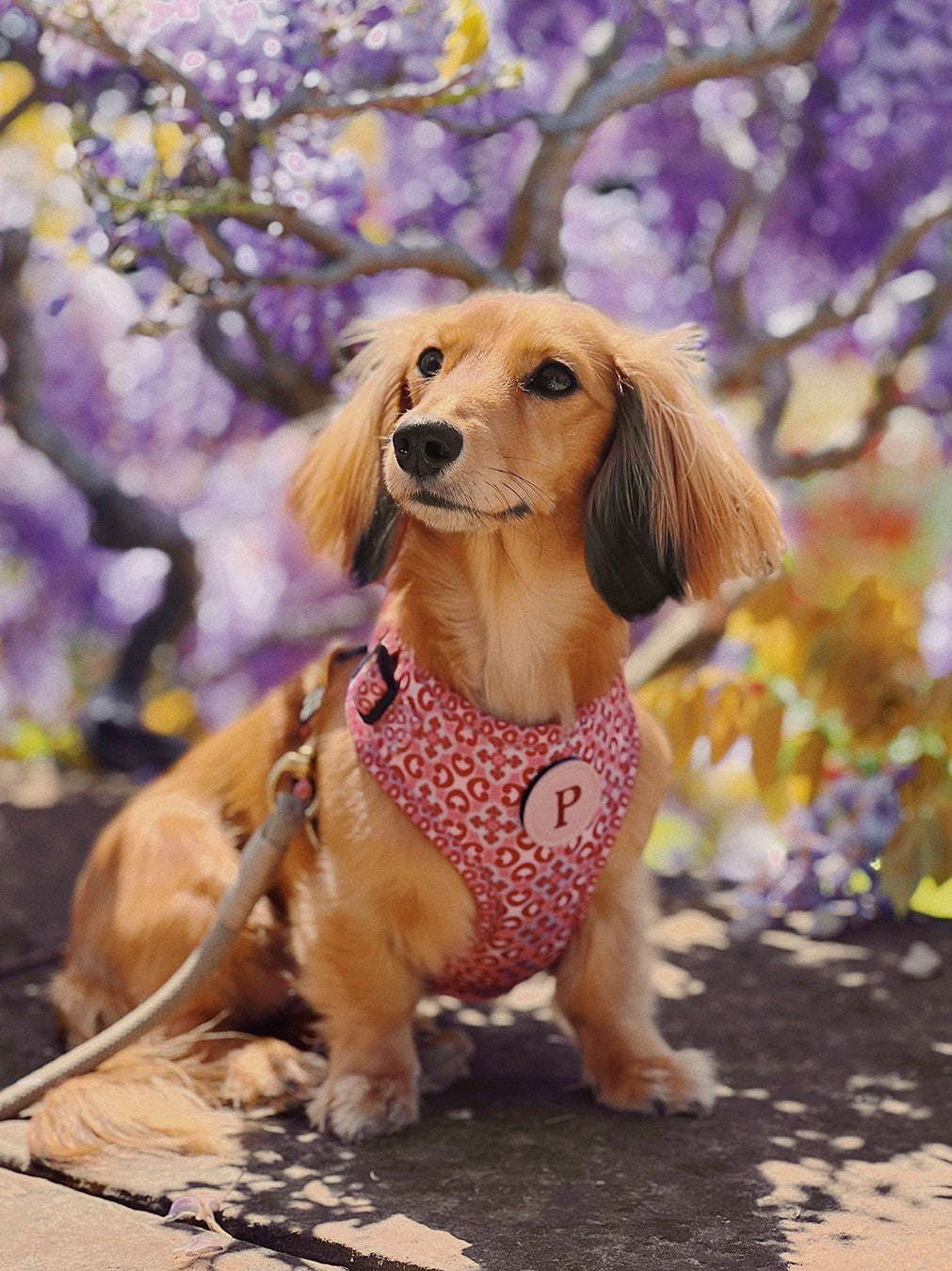 Adjustable & Personalisable Harness | Royal Rose