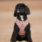 Adjustable & Personalisable Harness | Wonderfully Wild